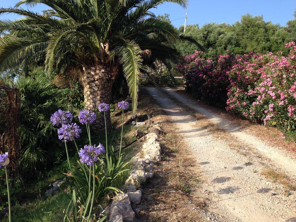 SantʼAgata di Militello Giardino Di Siciliaゲストハウス エクステリア 写真